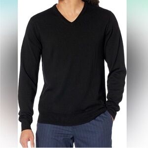 Goodthreads 100% Merino Wool Vneck Sweater Mens Lightweight